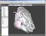 descargar ALLEN BPMS Student APK