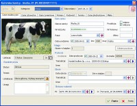descargar Amateur Surgeon 4 APK