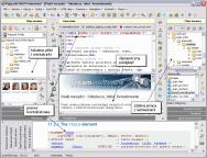 descargar Any DVD Converter