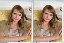 descargar APK Viewer
