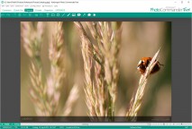 descargar Arabic - Urdu Translator