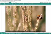 descargar Arabic - Urdu Translator