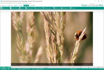 descargar Arabic - Urdu Translator