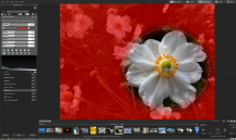 descargar 4 Pics 1 Word APK