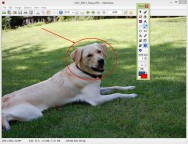 descargar 40 हदीस-ए-नब्वी : Hadees in Hindi APK