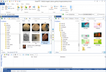 descargar 94 Degrees: fun trivia quiz APK